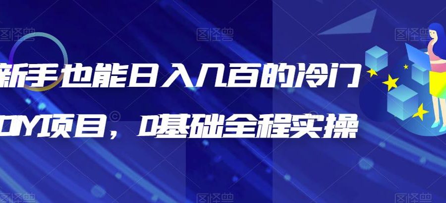 （6630期）新手也能日入几百的冷门DIY项目，0基础全程实操【揭秘】