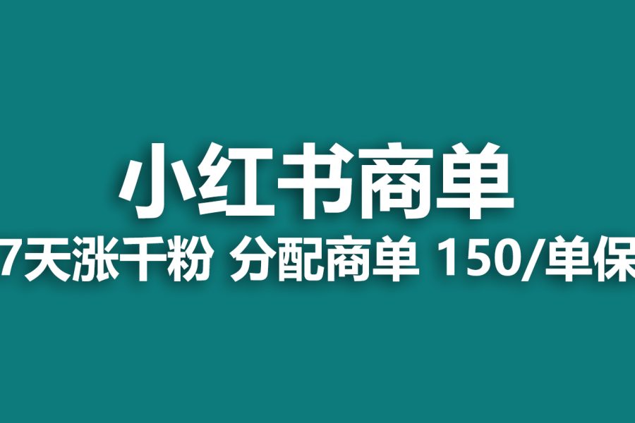 （6615期）2023最强蓝海项目，小红书商单项目，没有之一！