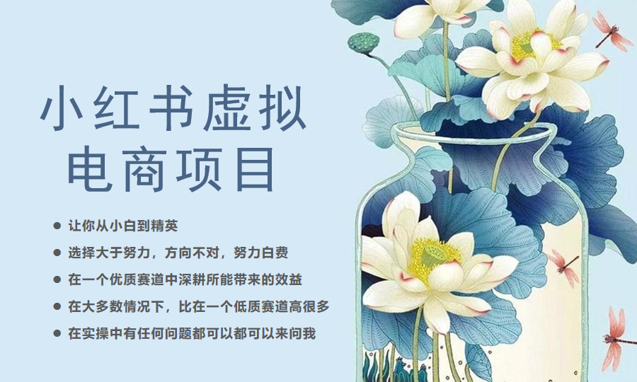 （6607期）小红书虚拟电商从0到1，让你从小白到精英（20节实操课程）