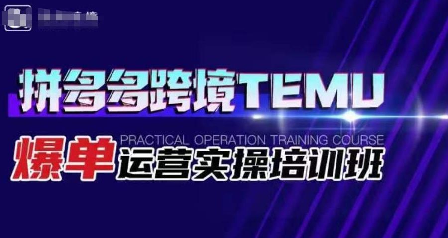 拼多多跨境TEMU爆单运营实操培训班，海外拼多多的选品、运营、爆单