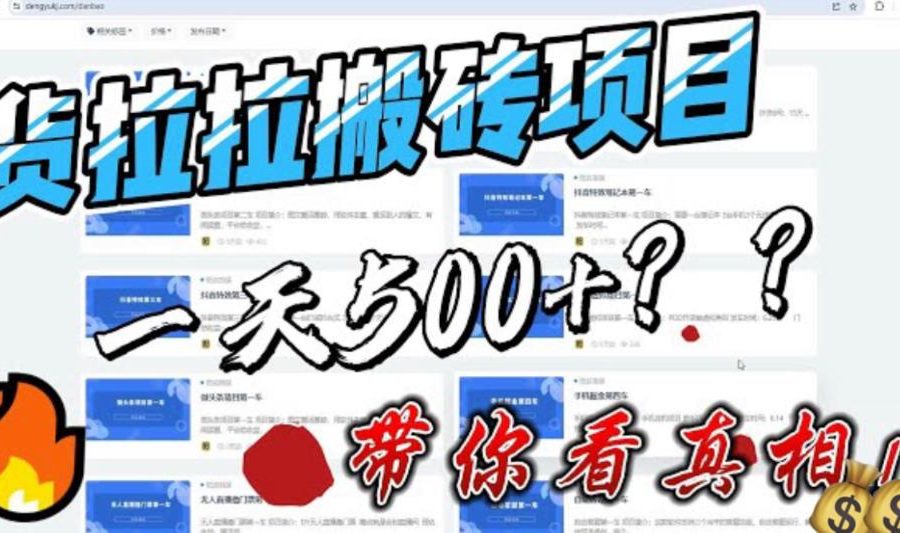 （6388期）最新外面割5000多的货拉拉搬砖项目，一天500-800，首发拆解痛点