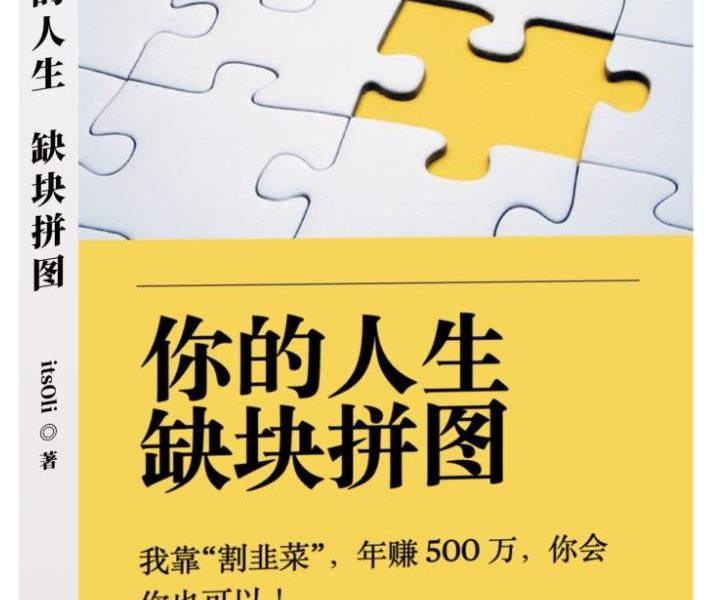 某高赞电子书《你的人生，缺块拼图——我靠“割韭菜”，年赚500万，你会你也可以》
