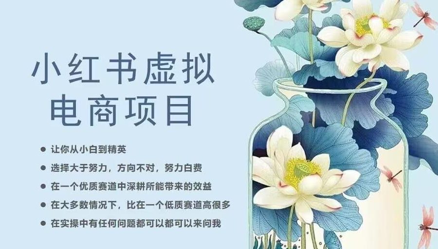 小红书虚拟电商从0到1，让你从小白到精英（20节实操课程）