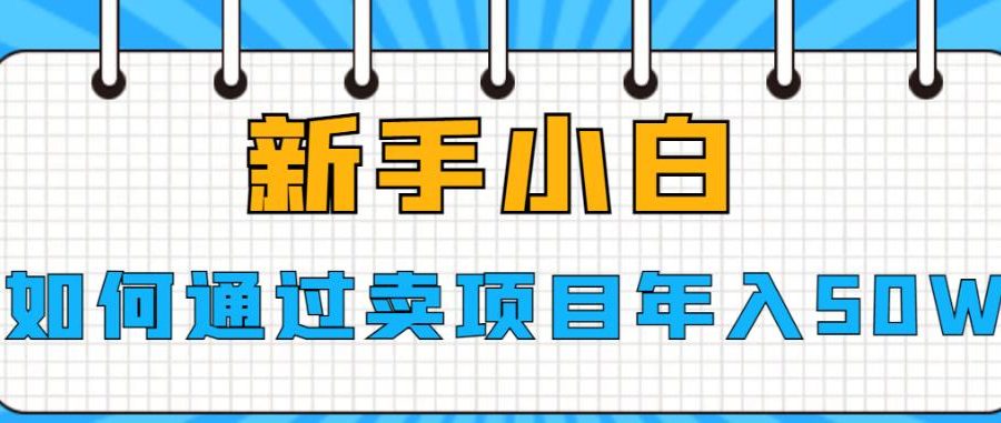 新手小白如何通过卖项目年入50W【揭秘】