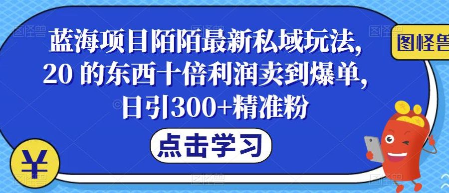 蓝海项目陌陌最新私域玩法，20 的东西十倍利润卖到爆单，日引300+精准粉【揭秘】