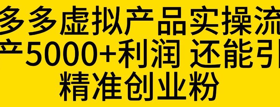 拼多多虚拟产品实操流程，月产5000+利润，还能引流精准创业粉【揭秘】