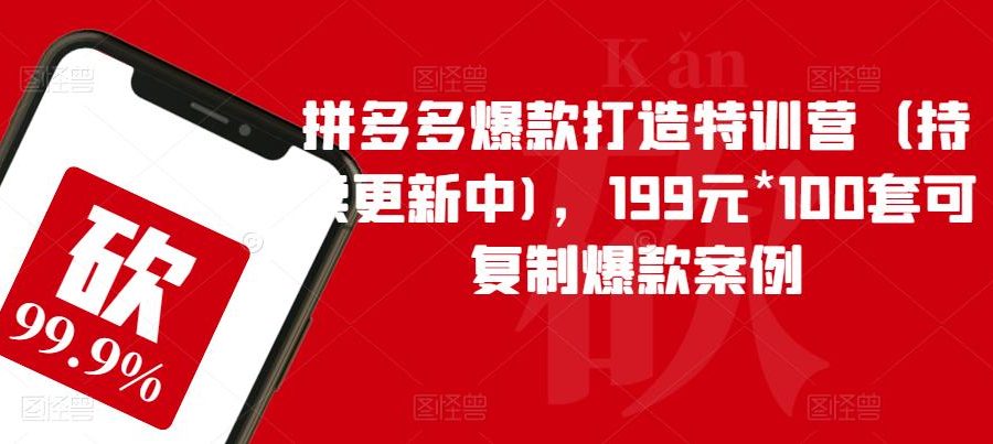 拼多多爆款打造特训营（持续更新中)，199元*100套可复制爆款案例
