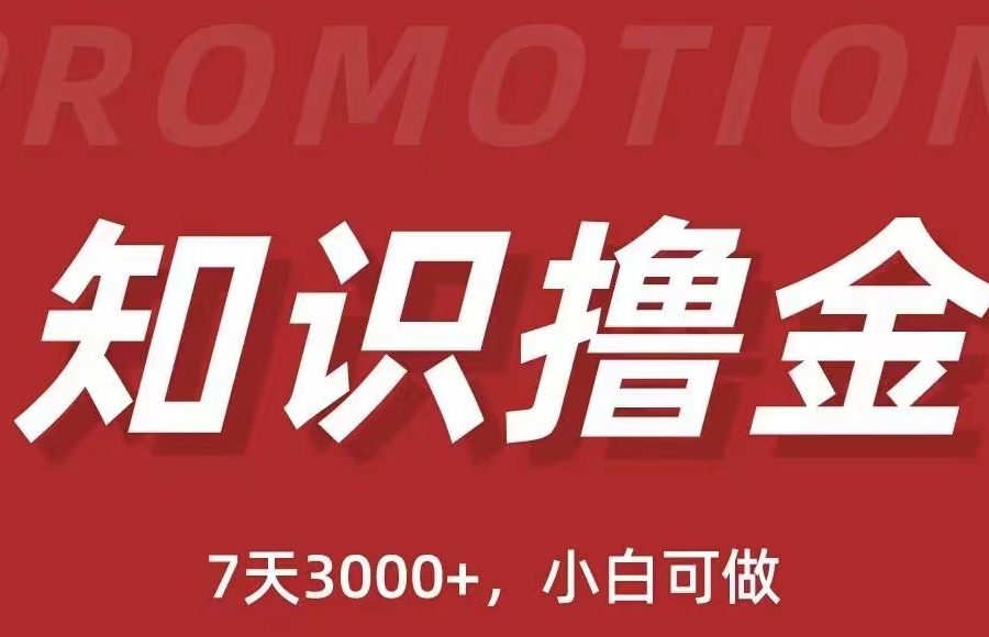 （5629期）抖音知识撸金项目：简单粗暴日入1000+执行力强当天见收益(教程+资料)