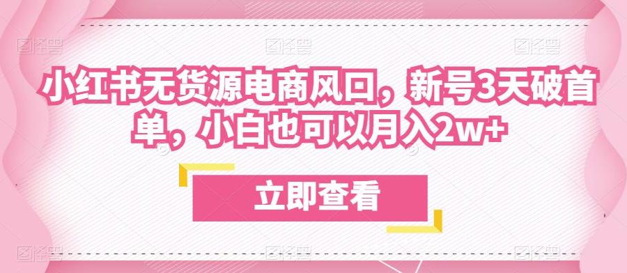 众狼电商余文小红书无货源电商风口，新号3天破首单，小白也可以月入2w+
