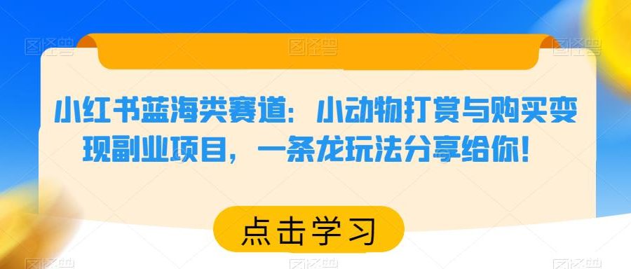 小红书蓝海类赛道：小动物打赏与购买变现副业项目，一条龙玩法分享给你！