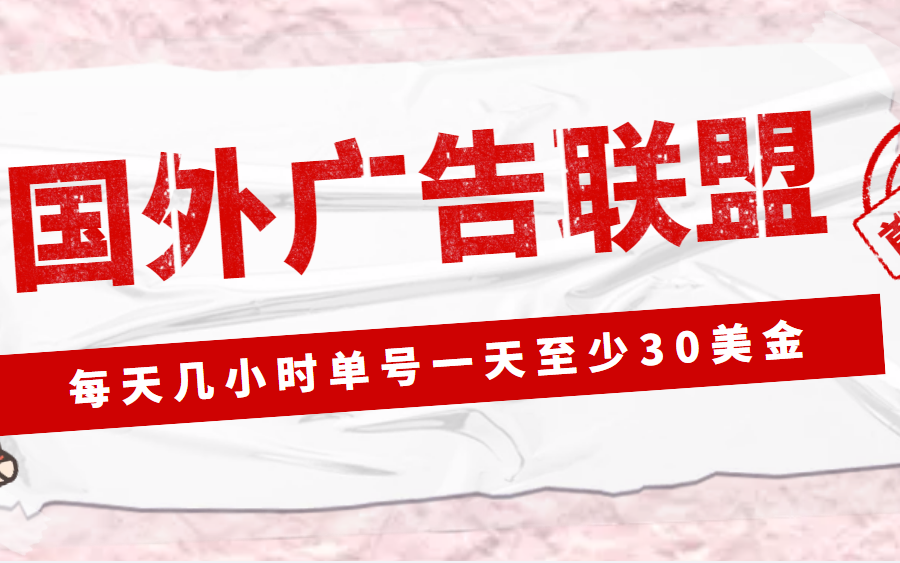 （4662期）外面收费1980最新国外LEAD广告联盟搬砖项目，单号一天至少30美金(详细教程)