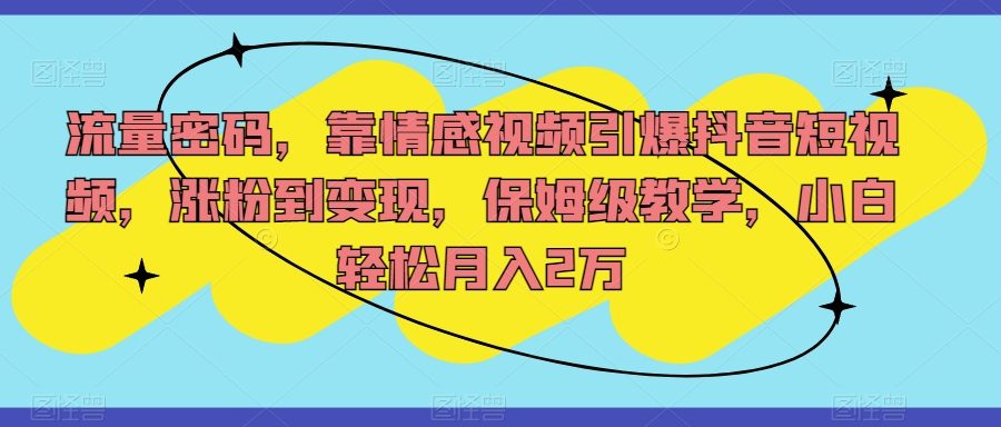 流量密码，靠情感视频引爆抖音短视频，涨粉到变现，保姆级教学，小白轻松月入2万【揭秘】