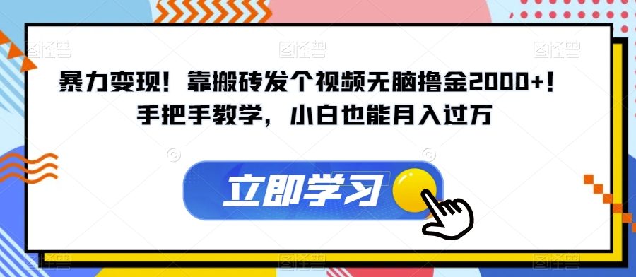 暴力变现！靠搬砖发个视频无脑撸金2000+！手把手教学，小白也能月入过万【揭秘】