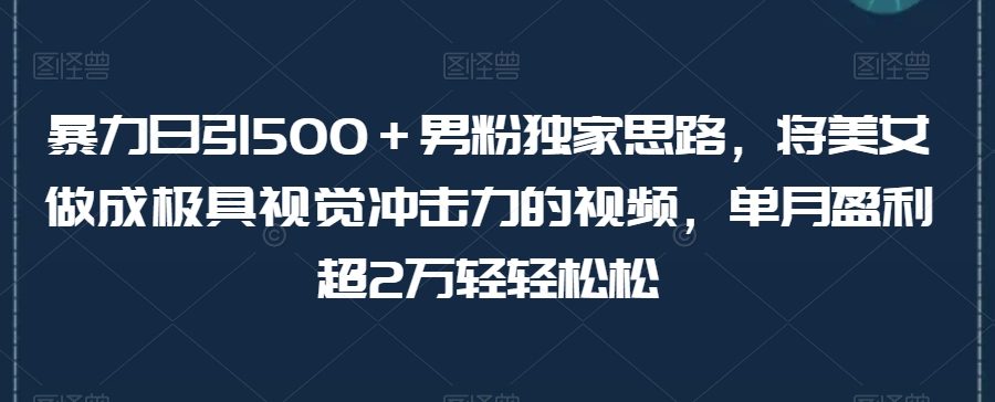 暴力日引500＋男粉独家思路，将美女做成极具视觉冲击力的视频，单月盈利超2万轻轻松松