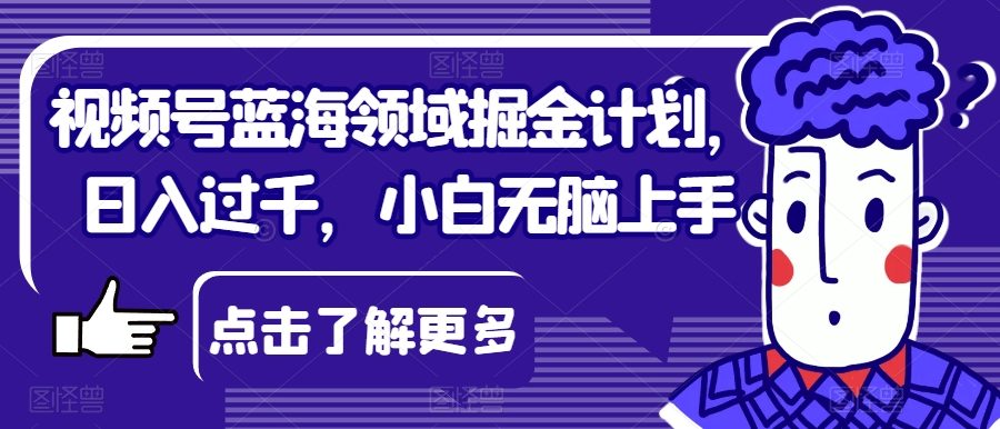 视频号蓝海领域掘金计划，日入过千，小白无脑上手【揭秘】