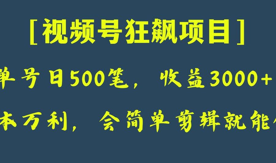 日收款500笔，纯利润3000+，视频号狂飙项目！