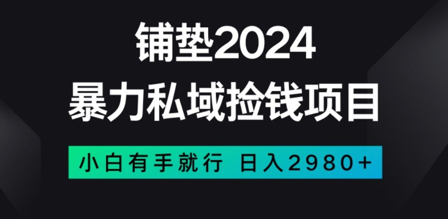 暴力私域捡钱项目，小白无脑操作，日入2980【揭秘】