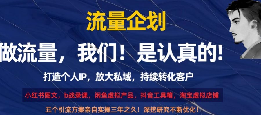 流量企划，打造个人IP，放大私域，持续转化客户【揭秘】