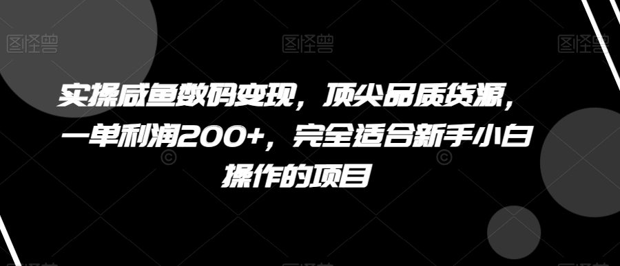 实操咸鱼数码变现，顶尖品质货源，一单利润200+，完全适合新手小白操作的项目【揭秘】