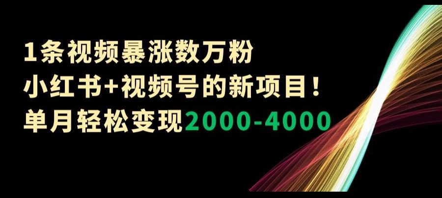 1条视频暴涨数万粉–小红书+视频号的新项目！单月轻松变现2000-4000【揭秘】