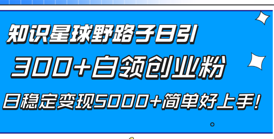 （8315期）知识星球野路子日引300+白领创业粉，日稳定变现5000+简单好上手！