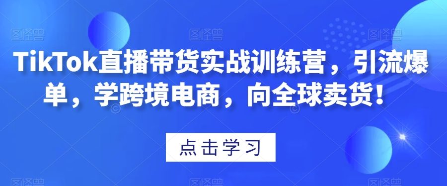 TikTok直播带货实战训练营，引流爆单，学跨境电商，向全球卖货！
