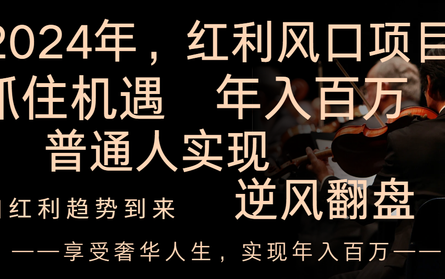 （8418期）2024红利风口项目来袭，享受第一波红利，逆风翻盘普通人也能实现，年入百万