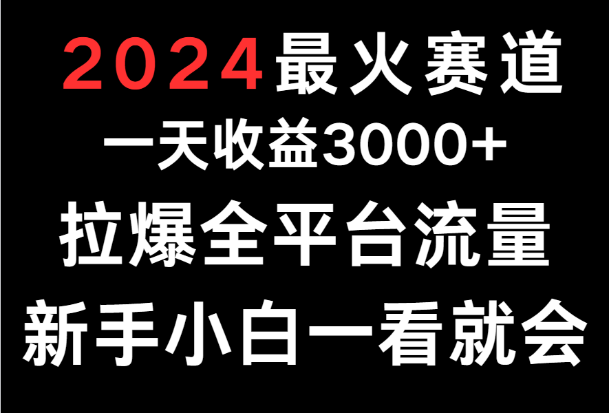 2024最火赛道，一天收一3000+.拉爆全平台流量，新手小白一看就会