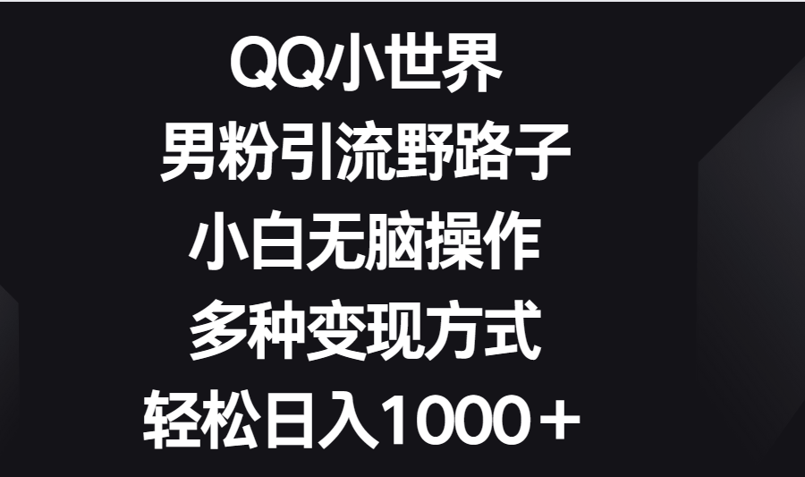 QQ小世界男粉引流野路子，小白无脑操作，多种变现方式轻松日入1000＋