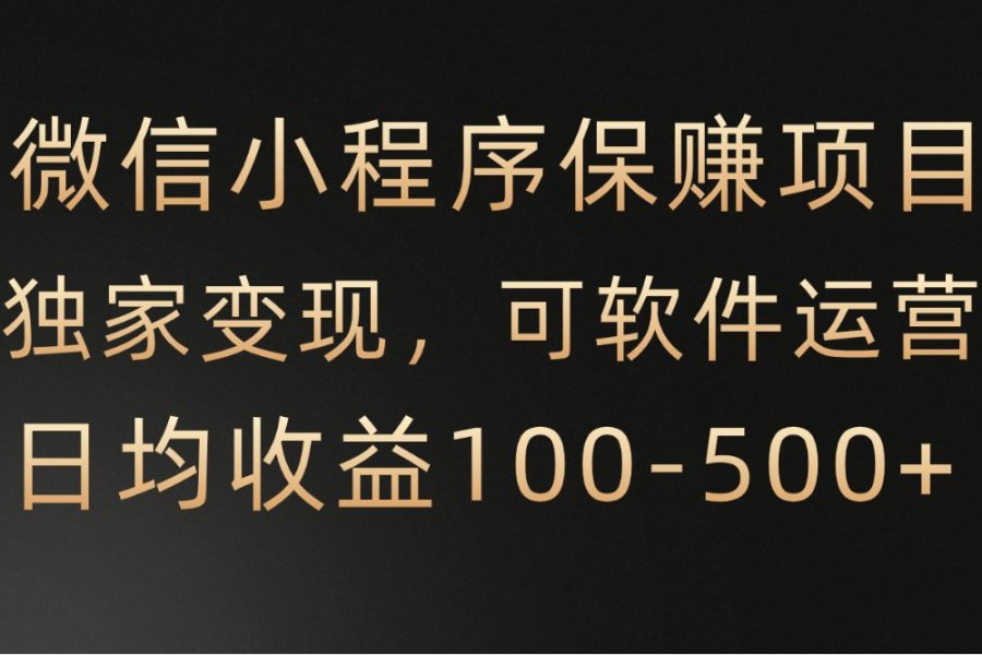 微信小程序，腾讯保赚项目，可软件自动运营，日均100-500+收益有保障
