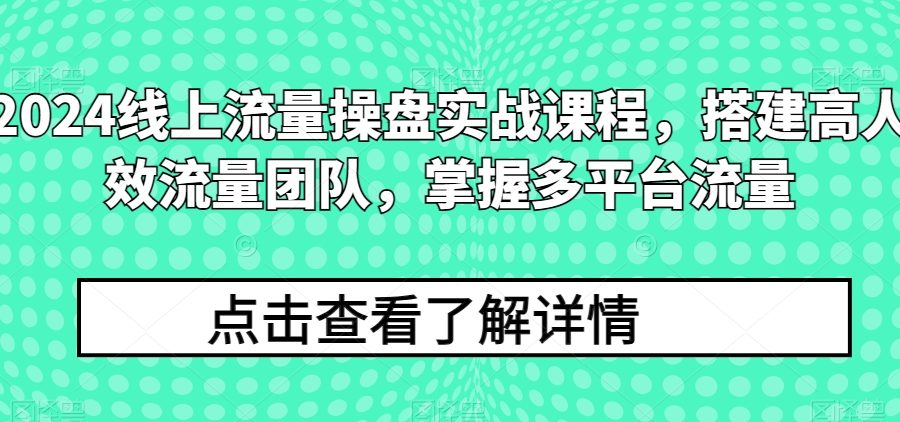 2024线上流量操盘实战课程，搭建高人效流量团队，掌握多平台流量
