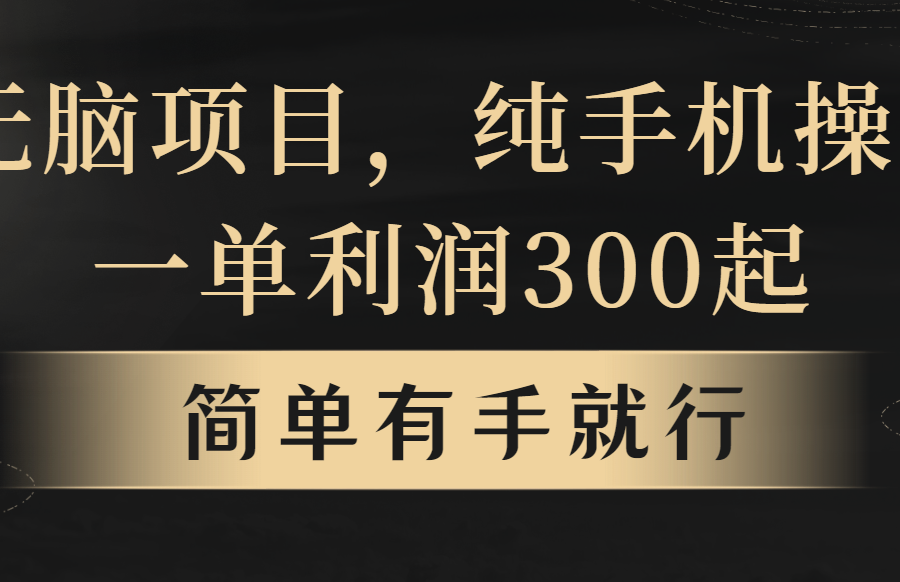 （10699期）无脑项目，一单几百块，轻松月入5w+，看完就能直接操作