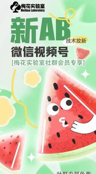 梅花实验室2024年AB技术视频号AB合成破解版