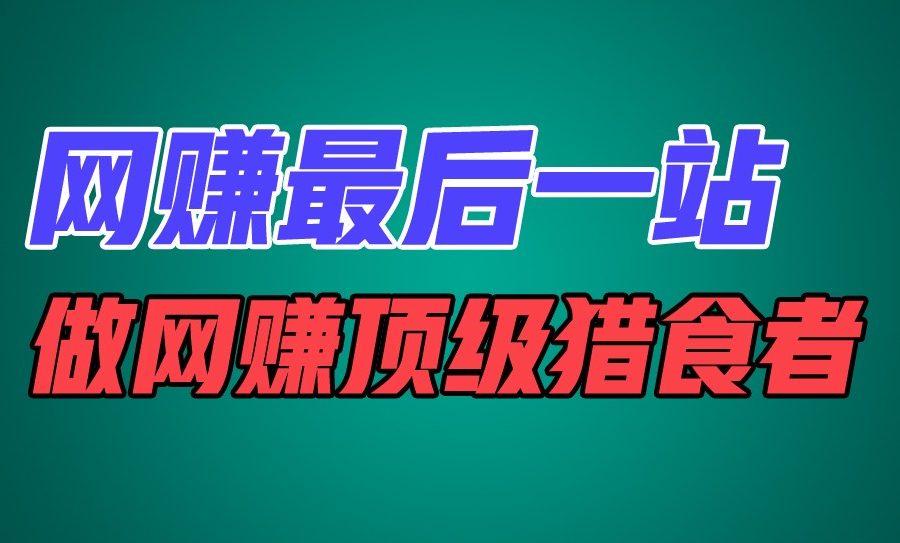 网赚最后一站，卖项目，做网赚顶级猎食者
