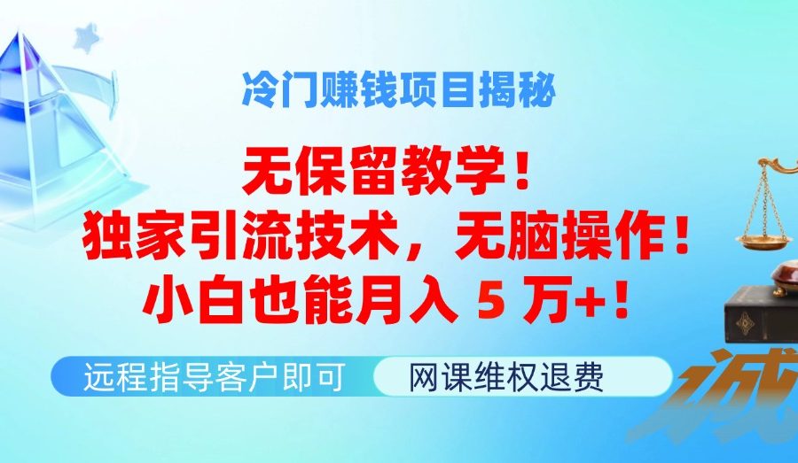 （11864期）冷门赚钱项目无保留教学！独家引流技术，无脑操作！小白也能月入5万+！
