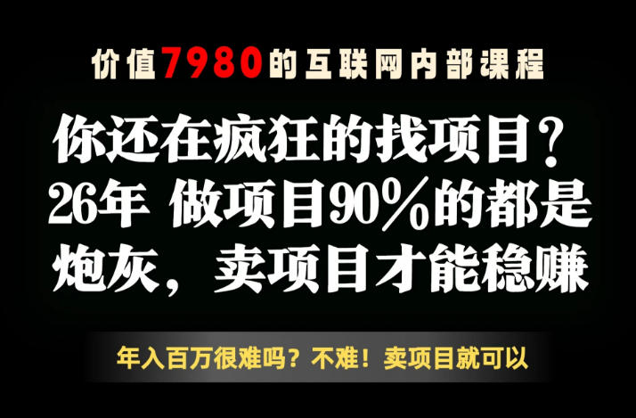 26年请不要疯狂的找项目了，卖项目远比你想象的暴利，你也可以月入10W+【揭秘】-798资源站