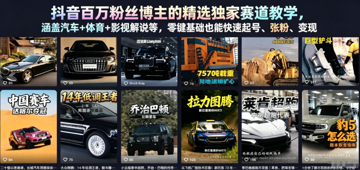 抖音百万粉丝博主的精选独家赛道教学，涵盖汽车+体育+影视解说等，零基础也能快速起号、涨粉、变现-798资源站