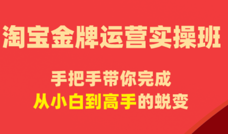 飓风电商·淘宝金牌运营实操班-798资源站