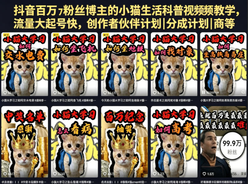 抖音百万粉丝博主的小猫生活科普视频教学，流量大起号快，创作者伙伴计划|分成计划|商单|收徒等-798资源站