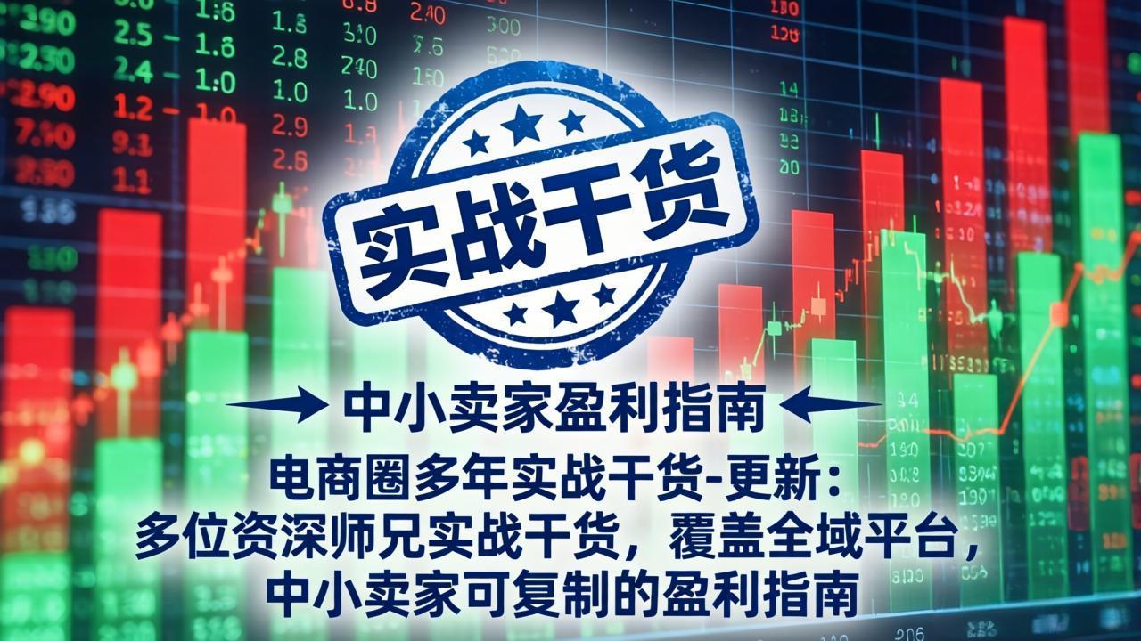 电商圈多年实战干货-更新5月20：多位资深师兄实战干货/覆盖全域平台，中小卖家可复制的盈利指南-798资源站