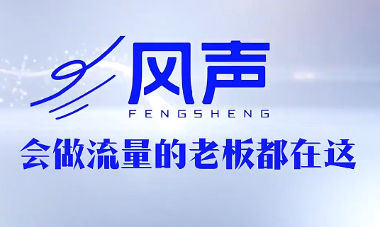 董十一·风声短视频AI获客年度会员-798资源站