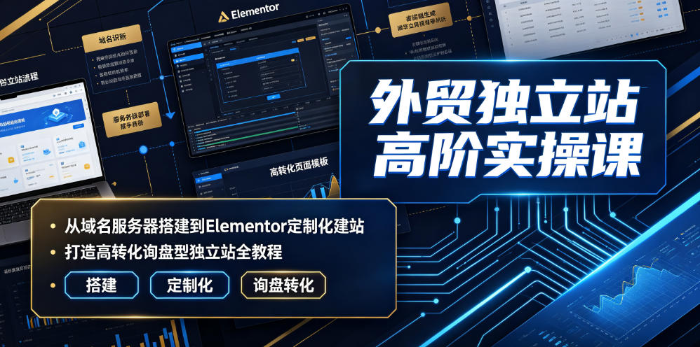 外贸独立站高阶实操课｜从域名服务器搭建到Elementor定制化建站，打造高转化询盘型独立站全教程-798资源站