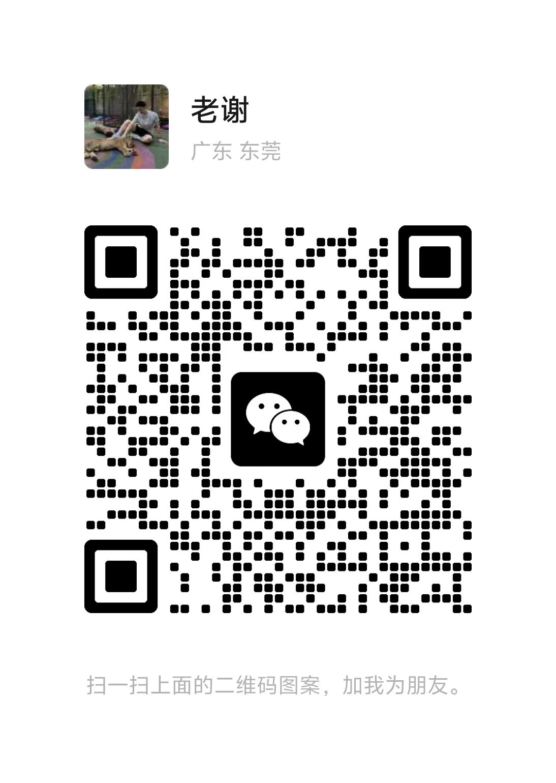 站长最新微信