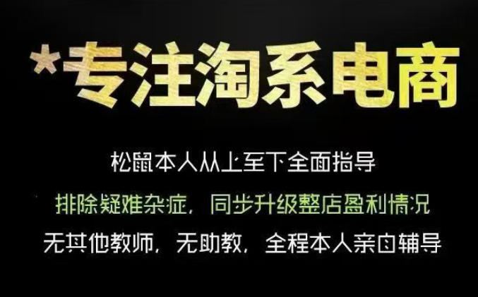 松鼠会电商VIP课程，从基础布局到高阶优化，助你掌握淘宝运营逻辑，提升店铺流量与转化(更新0711)