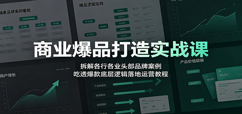 商业爆品打造实战课：拆解各行各业头部品牌案例，吃透爆款底层逻辑落地运营教程-798资源站