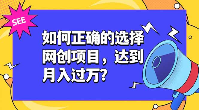 如何正确的选择网创项目，达到月入过万？，本课程教你正确选择项目。-798资源站